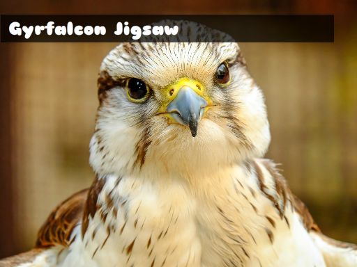 Imaginea Jigsaw Gyrfalcon
