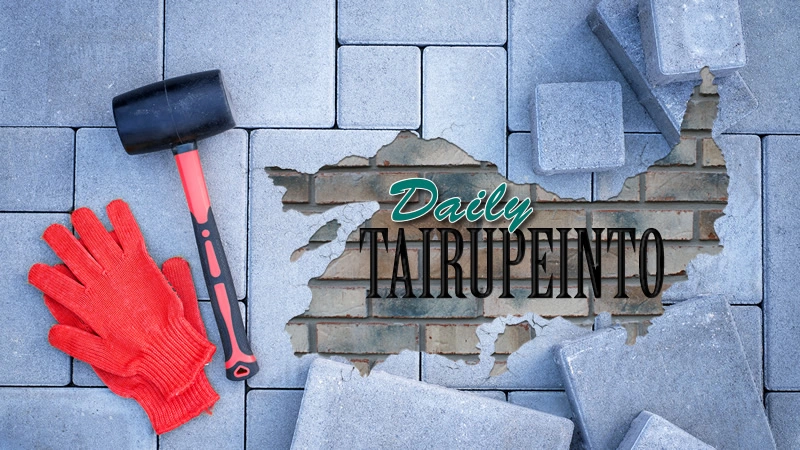 Tairupeinto zilnic